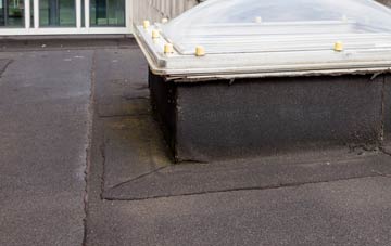 disadvantages of Teffont Evias flat roofs