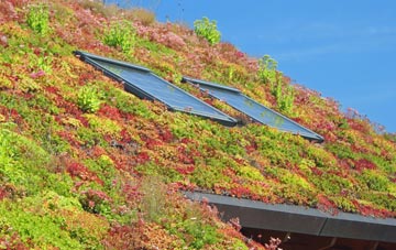 Teffont Evias living roof systems