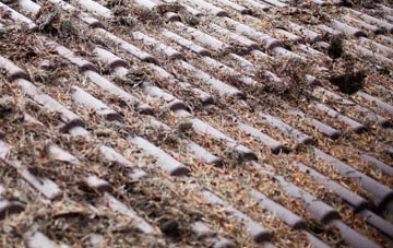 Teffont Evias roof cleaning companies