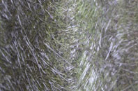 Teffont Evias fibreglass roof work